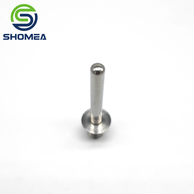 SHOMEA Custom 304/316 Stainless steel Temperature probe with male thread